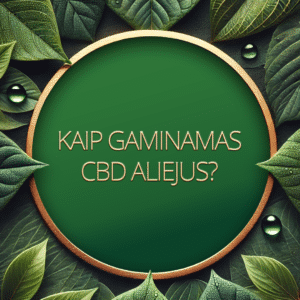 Purama kaip gaminamas CBD aliejus?