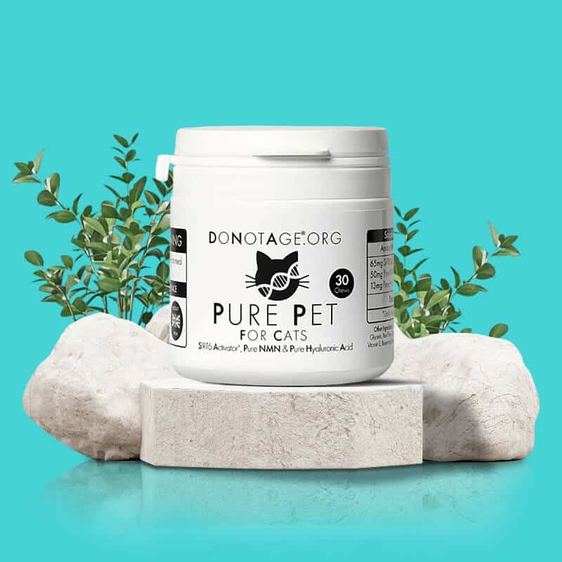 DoNotAge Pure Pet katėms – pakuotė iš priekio ant akmens DoNotAge Pure Pet kassidele - esipakend kivist