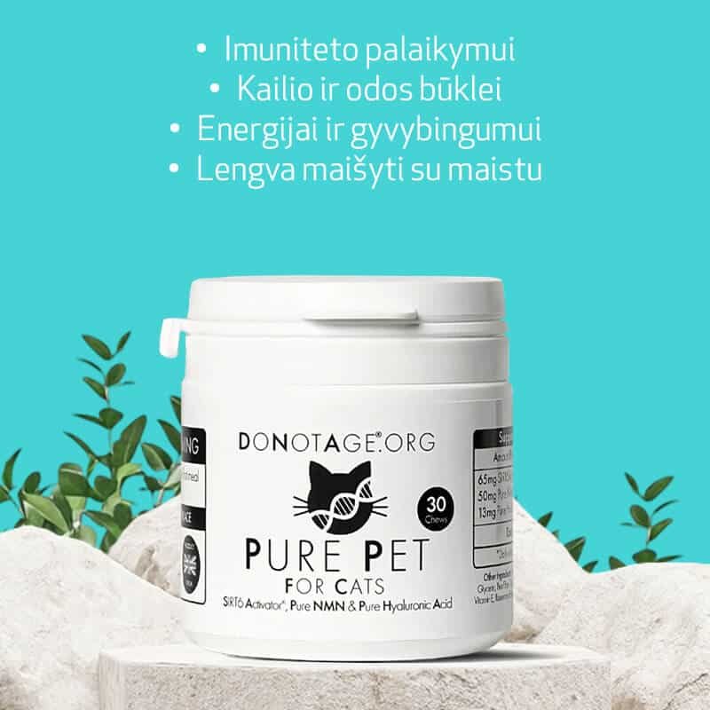 DoNotAge Pure Pet katėms – privalumai: imunitetas, kailis, energija, lengvas vartojimas DoNotAge Pure Pet kassidele - eelised: immuunsus, karvkate, energia, lihtne tarbimine