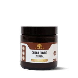 Chaga grybų milteliai